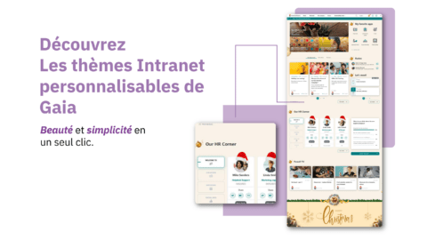 l'espace de démonstration Gaia de Powell Software pour avoir des thèmes personnalisables