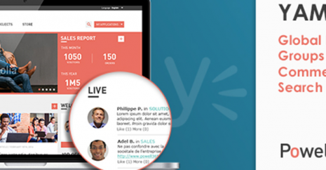 Découvrez comment Powell 365 tire parti de la fonctionnalité Yammer
