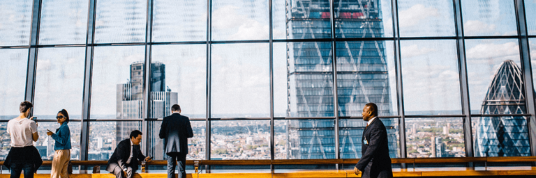 A Newcomer Joins Our Johannesburg Office