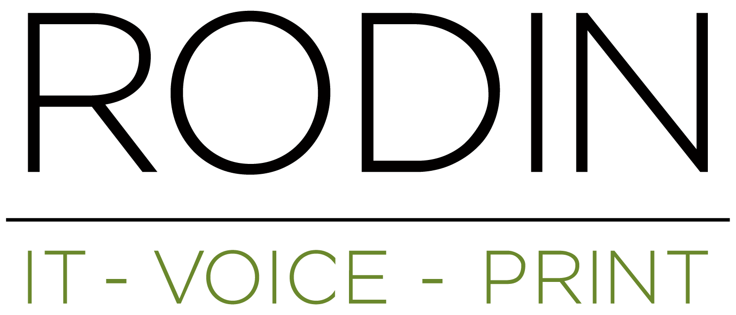 Logo Rodin Business Solutions